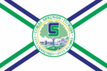 Flag of Coral Springs, Florida (until 2017)